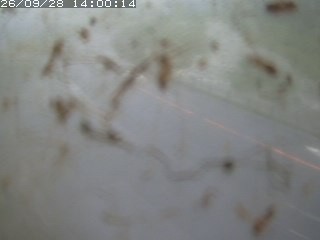 江府町佐川