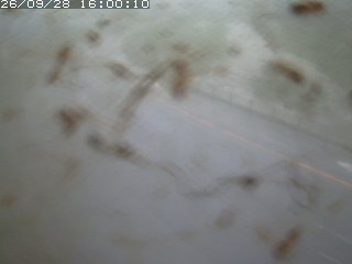 江府町佐川