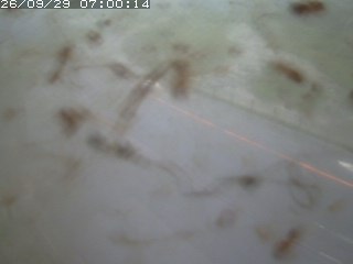 江府町佐川