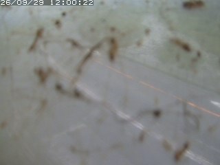 江府町佐川