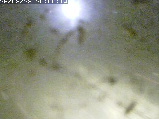 江府町佐川