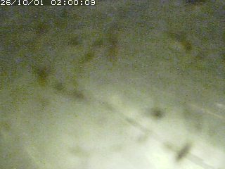江府町佐川