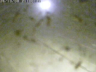 江府町佐川