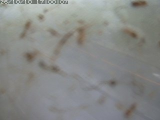 江府町佐川