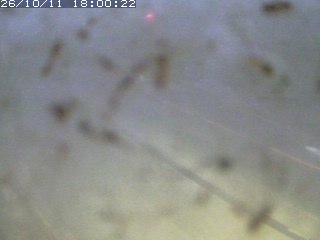江府町佐川