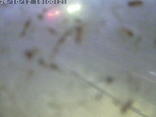 江府町佐川