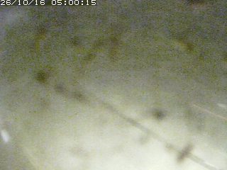 江府町佐川