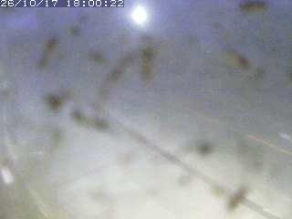 江府町佐川