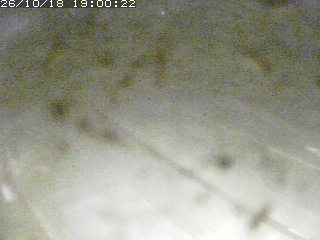 江府町佐川