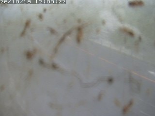 江府町佐川