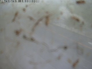 江府町佐川
