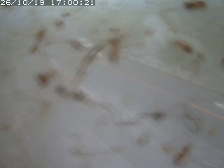 江府町佐川