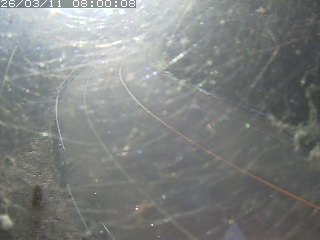 日野町門谷・上