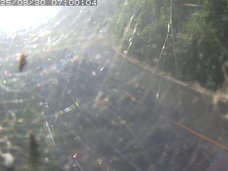 日野町門谷