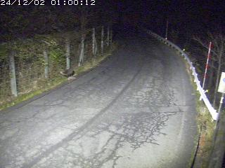 佐治町栃原【辰巳峠】