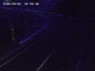 若桜町つく米・上