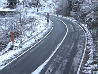 若桜町つく米・上