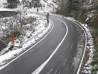 若桜町つく米・上