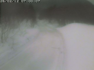 倉吉市関金町笹ヶ平