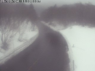 倉吉市関金町笹ヶ平