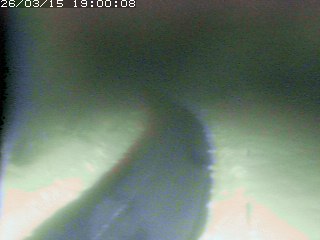 倉吉市関金町笹ヶ平