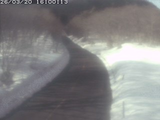 倉吉市関金町笹ヶ平