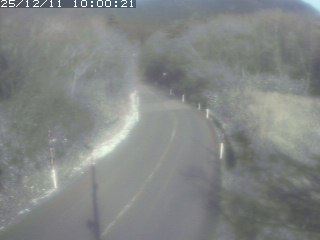 倉吉市関金町笹ヶ平