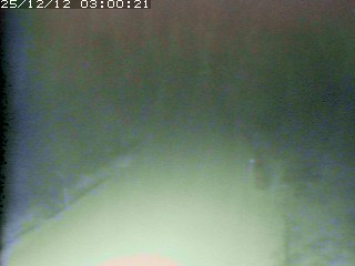 倉吉市関金町笹ヶ平