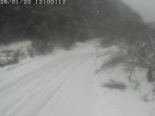 琴浦町山川木地