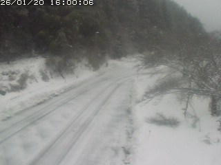 琴浦町山川木地