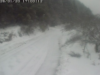 琴浦町山川木地