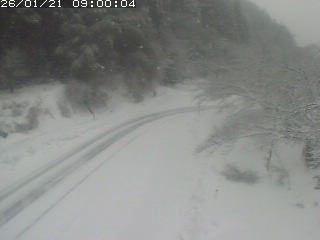 琴浦町山川木地