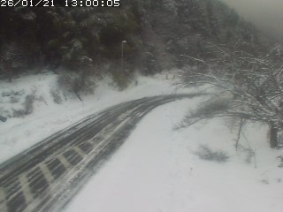 琴浦町山川木地