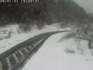 琴浦町山川木地