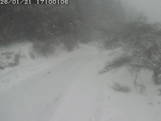 琴浦町山川木地