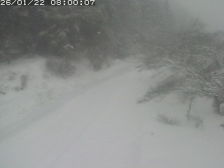 琴浦町山川木地