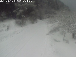 琴浦町山川木地