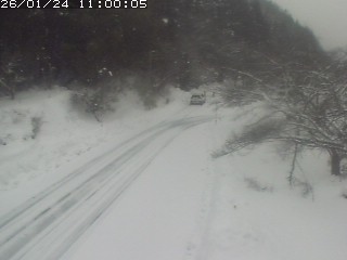 琴浦町山川木地