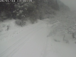 琴浦町山川木地