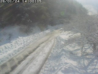 琴浦町山川木地