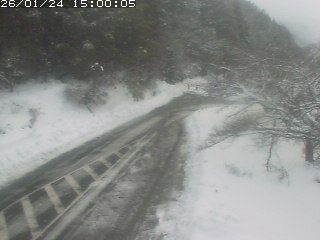 琴浦町山川木地