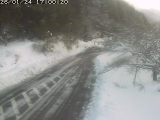 琴浦町山川木地