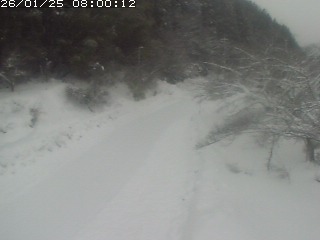 琴浦町山川木地