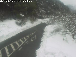 琴浦町山川木地