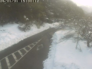 琴浦町山川木地
