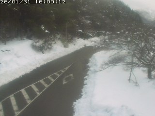 琴浦町山川木地