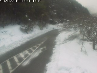 琴浦町山川木地