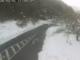 琴浦町山川木地