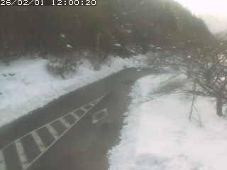 琴浦町山川木地