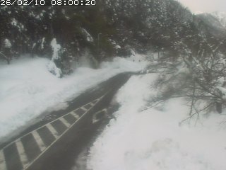 琴浦町山川木地